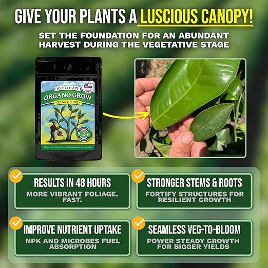 Organic Probiotic Plant Food – Fast-Acting with Microbes & Amino Acids 8-2-6 + 3% Calcium for All Garden Types Organo Grow | Boost Growth & Health (5, Ounces)