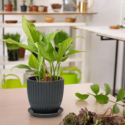 D'vine Dev Set of 2 Stoneware Planter Pot, Ceramic Pot with Drainage Hole and Saucers, 4.5 Inch 5.8 Inch, Charcoal Grey, 99-D-3