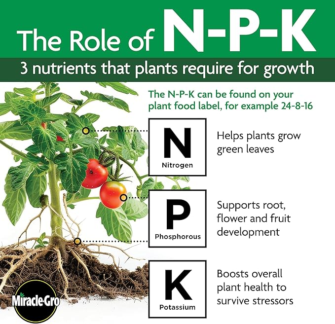 Miracle-Gro Shake 'N Feed Rose & Bloom Plant Food