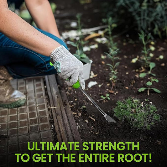 Garden Guru Dandelion Weeder Tool with Ergonomic Handle - Stainless Steel Weed Puller for Planting, Weeding, Flower and Vegetable Care in Lawn Garden Yard | Rust Resistant - 1 Case (50 Pcs)