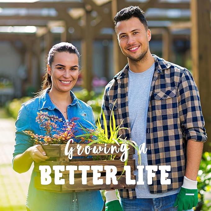 Matador Viking Spinach 4 Oz ~8,400 Seeds β Non-GMO Heirloom β 45 Days to Maturity β Smooth Dark Green Leaves β Slow Bolting β Open-Pollinated Annual β Cold Hardy Leafy Green β USA Grown