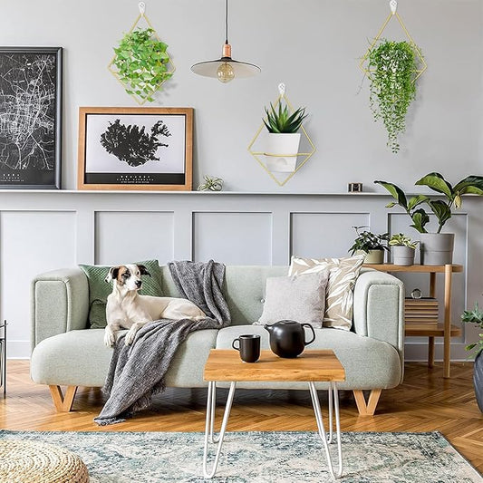 3 Sets Wall Planters for Indoor Plants Geometric Hanging Planters for Indoor Plants - Self-Watering Flower Pots with Black Metal Holder, Mounted Succulent Planter, 5" Black Plant Pot