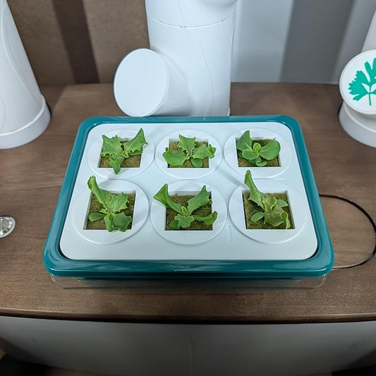 Grow Cubes for Hydroponic System/Grow Cubes Compatible with Gardyn (Seed Starter Nursery)