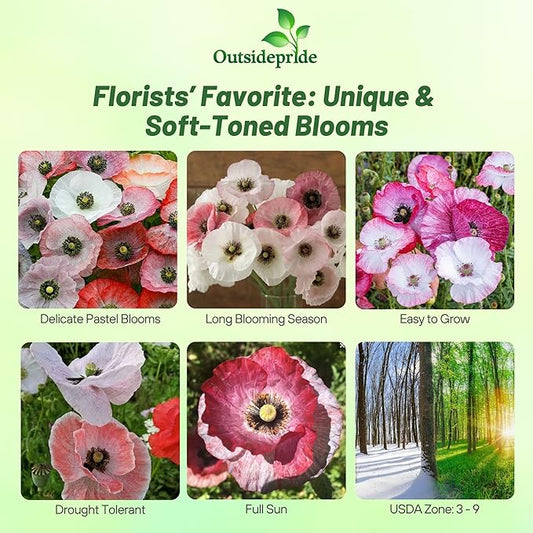 Outsidepride Mother of Pearl Poppy Seeds for Planting - 1,000 Pcs Annual, Drought-Tolerant & Easy to Grow Wildflower Seeds with Vibrant Mix Blooms for Landscaping, & Pollinator Garden