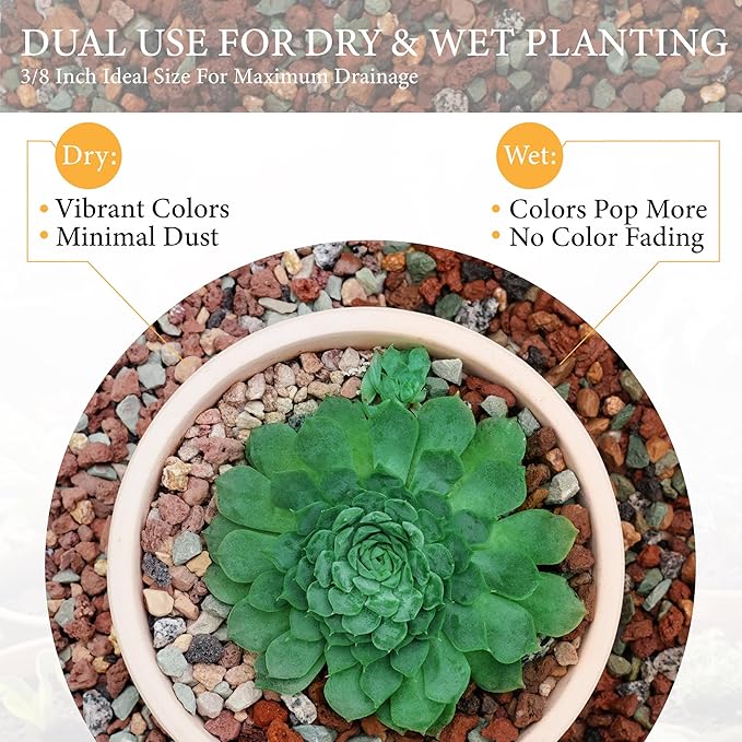 2.5LB Lava Rocks for Plants-3/8 Volcanic Rock for Succulent Potting Mix, Cactus, Orchids & Bonsai-Porous Horticultural Grit for Drainage, Aeration & pH Balance - Decorative Top Dressing