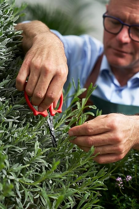 Felco 420 Trimming Scissors – 6.1" Garden Clippers with Fine Tip & Non-Stick Blade | Pruning Shears for Gardening | Garden Scissors for Plant with Stainless Steel Blade, Built-In Ruler