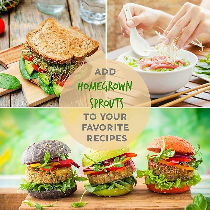 Radish Sprouting Seeds 1 lb β Non-GMO Daikon Microgreen Seeds for Indoor Growing