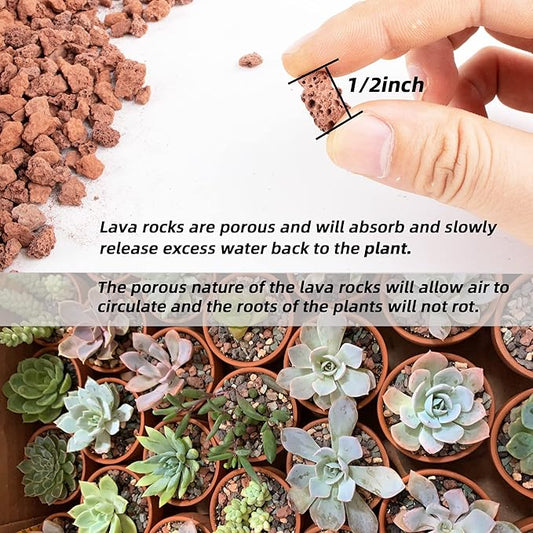 Natural Lava Rocks Granules Decorative Landscaping for Bonsai, Cacti, Succulents Plants, Vase Fillers and Terrarium Plants, 5Lbs