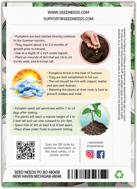 Seed Needs Pumpkin Seeds for Planting Blue Jarrahdale Pumpkins - Non-GMO Heirloom & Untreated Cucurbita Maxima Seed to Plant an Outdoor Home Grown Vegetable Garden (2 Packs)