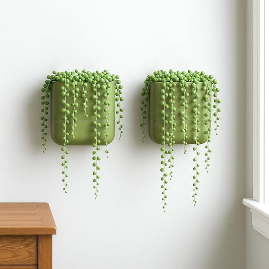 Phoenix Vine 6.5-Inch Wall Mounted Self-Watering Planter Pot for Indoor Houseplants and Herbs | Hanging Planter for Window Sills, Bathroom Walls, Home & Office Décor, Olive, Set of 2, 01-WP-C-2