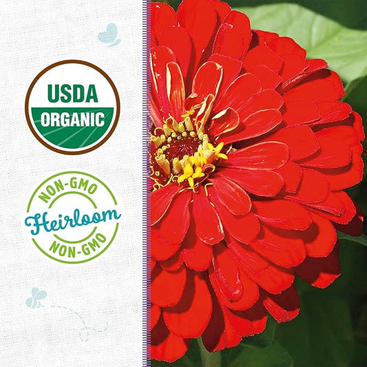 Back to The Roots 100% Organic Seed Packet - Zinnia 'Red Beauty' 210mg
