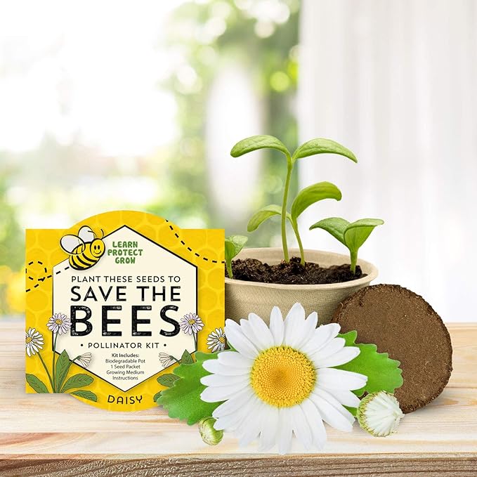 BUZZY Seeds Save The Bees Grow Kit, 12 Biodegradable Mini Flower Pots with Wildflower Seed Packets, Indoor Outdoor Planting Starter Set, DIY Gardening Gift, Sustainable Party Favors Adults