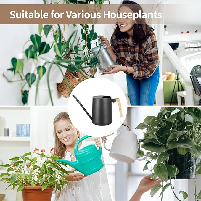 Homaisson 35 oz Metal Small Indoor Watering Can with Long Spout & Real Wood Handle for House Plants, Rust-Resistant Watering Pot for Indoor and Outdoor, Ideal for Houseplants, Modern Minimalist Design