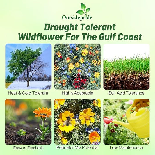 Outsidepride Gulf Coast Wildflower Seed Mix - 5 lbs Perennial & Annual Wild Flowers for Full Sun & Partial Shade - Ideal for Pollinator Gardens & Vibrant Landscapes for Southern Florida & Texas