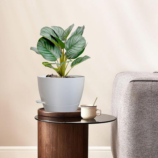 10 inch Self Watering Pots, 2 Pack Plastic Planters with Mesh Drainage Holes for Garden Plants and Flower, Plants Pots with Deep Reservoir for Indoor Outdoor Plants, White