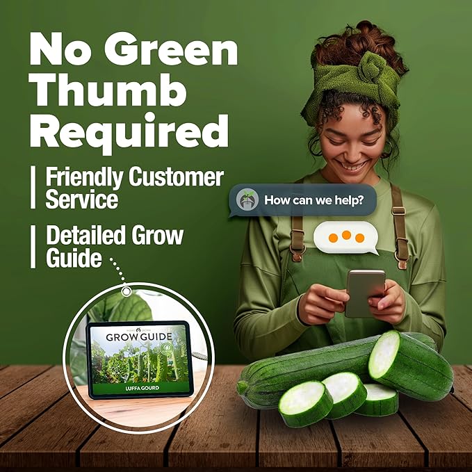 HOME GROWN Non GMO Luffa Seeds (Luffa aegyptiaca) 40 Heirloom Loofah Gourd Seeds for Planting High Germination Rate - Make Sponges or Harvest Young Loofahs for Eating