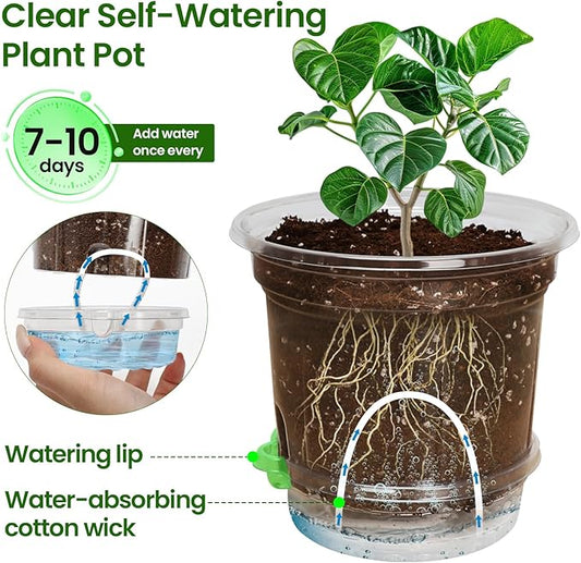 MIXC 18 Packs 6.5/5/4 Inch Self Watering Pots for Indoor Plants - Clear Nursery Plant Pots with Drainage, Deep Visible Reservoir - Flower Planter Outdoor with Wicking Rope