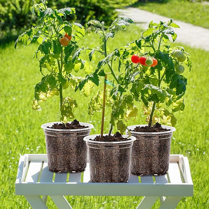 30 Pack 3.5/4/5/6/7 Inch Clear Nursery Pots with Drainage Holes, Transparent Plastic Pots for Plants, Reinforced Seed Starter Pots Flower Pots