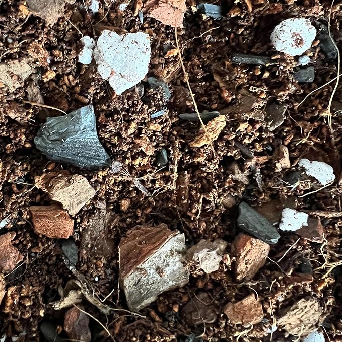 rePotme Fig & Ficus Potting Soil - Imperial Houseplant Mix - Junior Bag (4 Quarts) - Great Potting Mix for Indoor Plants