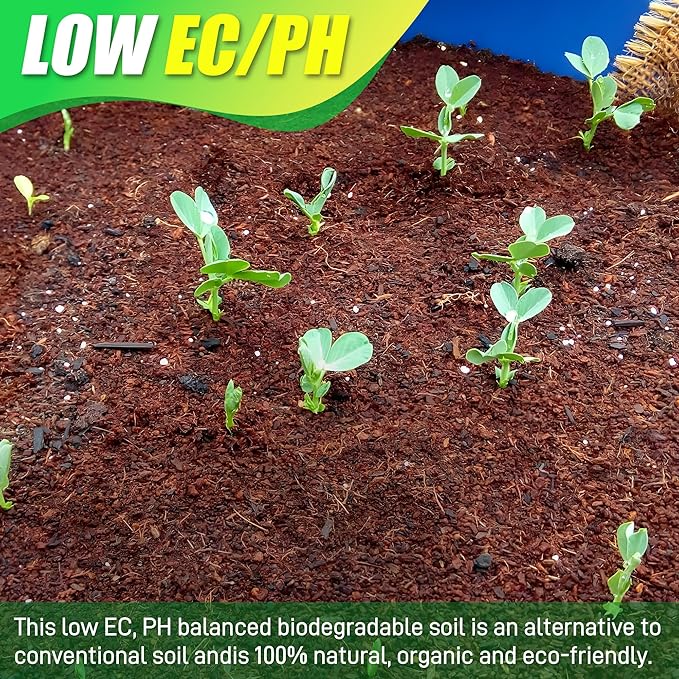 Coco Coir Brick for Plants-6 Pack Premium Coconut Bricks, 100% Organic Peat Moss, Fiber Coconut Husk for Planting, Gardening, Potting Soil Substrate