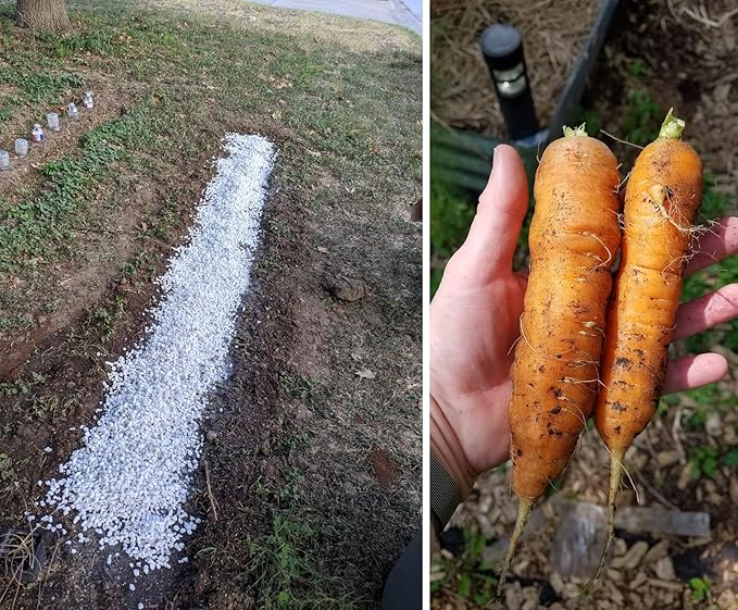 MDPQT 20 Qt Professional Grade Horticultural Perlite