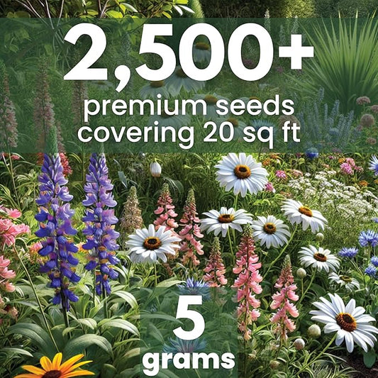 Perennial Species Mix - Large 5g Envelope - 2,500 Flower Seeds for Planting - Wildflower Mix