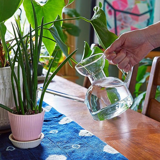 Modern Sprout Plant Watering Can - Handcrafted from Borosilicate Glass - Long Spout Vessel for Indoor Plants - 32 Oz Capacity - Multipurpose Watering Can and Flower Vase for Houseplants (Clear)