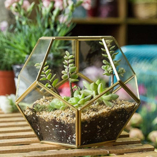 NCYP Glass Terrarium for Small Cactus, Succulents - Gold Geometric Planter Pot, Home Office Tabletop Miniature Garden Decor, 6.89 x 6.89 x 5.9 Inches, Handmade (No Plants, No Door)