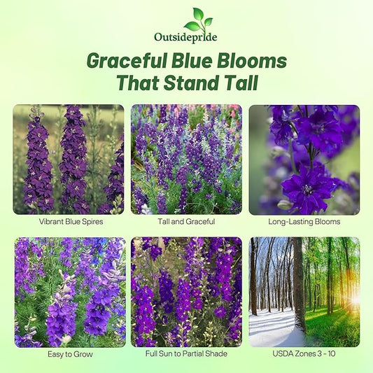 Outsidepride Delphinium Blue Larkspur Seeds for Planting Outdoors - 1000 Pcs Annual, Self-Seeding, Heat & Drought Tolerant Wildflower Seeds, Colorful Blooms for Flower Arrangement & Pollinator Garden