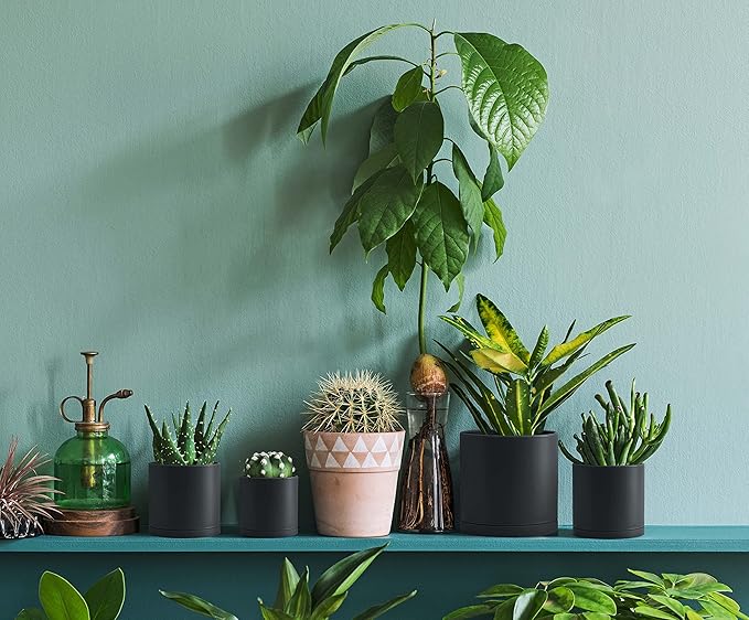 D'vine Dev Pack of 20 Plastic Plant Pots (4 Set of 2 Inch, 2.5 Inch, 3 Inch, 3.5 Inch, 4 Inch) Small Garden Planter Pots for Plant with Drainage Holes and Saucers, Black, 74-U-B