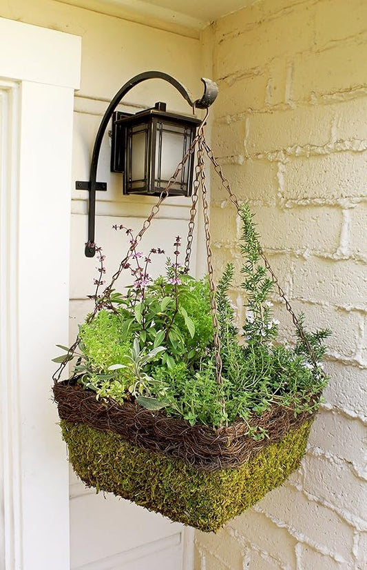 SuperMoss (29214D MossWeave Hanging Basket | Outdoor Hanging Planter with Moss | Decorative Plant Hanger for Porch, Balcony, Garden & Home Décor, Square with Wicker Rim, Large 14” D, Green