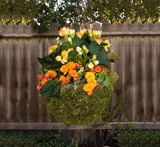 SuperMoss (29201) MossWeave Hanging Basket - Round, Fresh Green, Medium (14.5 Diameter)"