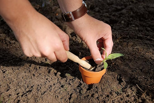 Esschert Design USA W4007 Secrets du Potager Wooden Mini Plant Dibber