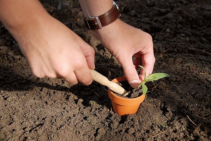 Esschert Design USA W4007 Secrets du Potager Wooden Mini Plant Dibber