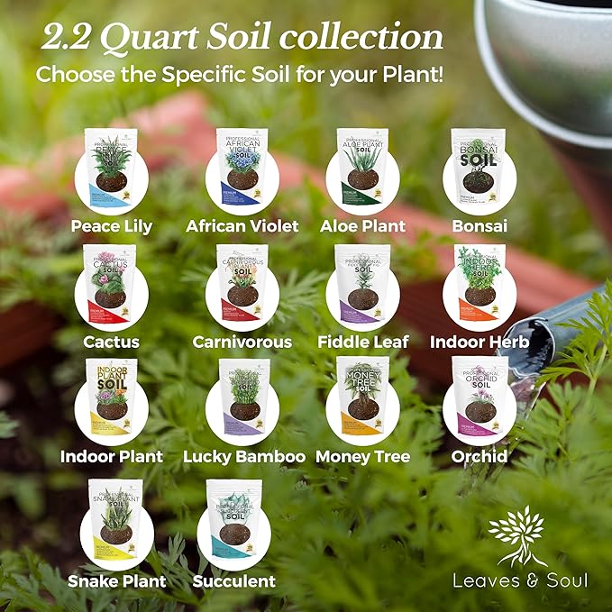 Succulent Soil Premium All Purpose Blend | Large 2.2 Quarts | Pre-Mixed Ready to Use for Cactus and Succulents | Canadian Peat, Course Sand, Pinebark | Made in USA