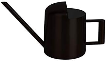 Mini Watering Can, 10oz/300ml Stainless Steel Long Spout Small Watering Can for Indoor Plants Succulents, Herbs (Black)