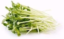 Nature Jims Sprouts Sunflower Seed - Certified Organic Black Oil Sunflower Sprouts for Soups - Raw Bird Food Seeds - Non-GMO, Chemicals-Free - Easy to Plant, Fast Sprouting Sunflower Seeds - 8 Oz