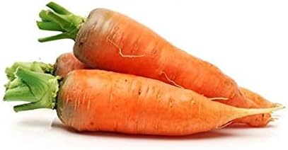 Carrots-Danvers Half Long.- 100+ Seeds- Country Creek LLC