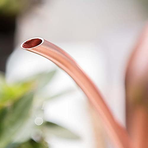 Stainless Steel Water Can for Indoor Plants and Garden (Rose Gold 50 oz)