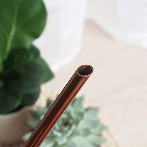 Mini Watering Can, 10oz/300ml Stainless Steel Long Spout Small Watering Can for Indoor Plants Succulents, Herbs (Bronze)