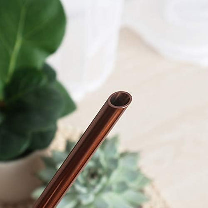 Mini Watering Can, 10oz/300ml Stainless Steel Long Spout Small Watering Can for Indoor Plants Succulents, Herbs (Bronze)