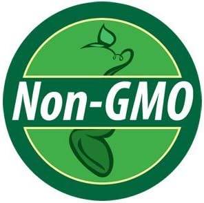 Bulk Organic Boston Pickling Cucumber Seeds Non GMO (50 Lbs)