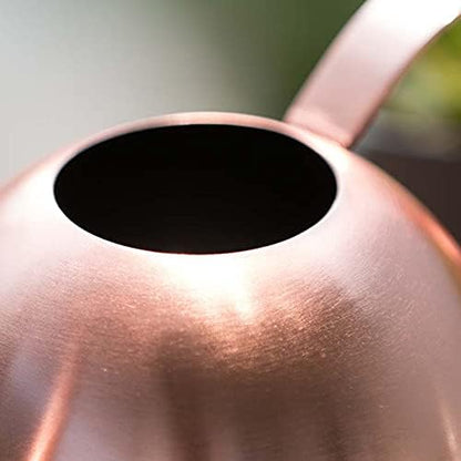 Stainless Steel Water Can for Indoor Plants and Garden (Rose Gold 50 oz)