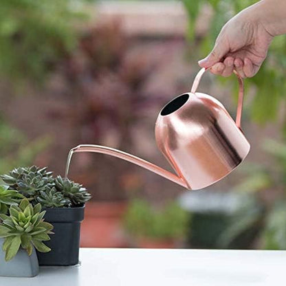 Stainless Steel Water Can for Indoor Plants and Garden (Rose Gold 50 oz)