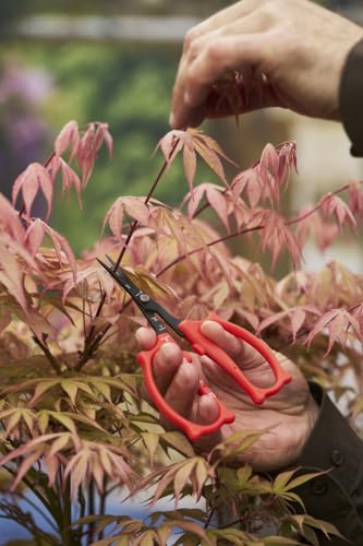 Felco 420 Trimming Scissors – 6.1" Garden Clippers with Fine Tip & Non-Stick Blade | Pruning Shears for Gardening | Garden Scissors for Plant with Stainless Steel Blade, Built-In Ruler