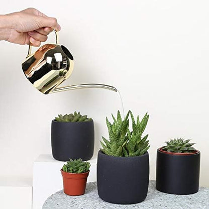 Small Watering Can for Indoor Plants, 15oz/450ml Stainless Steel Long Spout Watering Can for Succulents, Herbs (Gold)