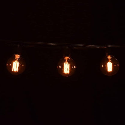 Hometown Evolution, Inc. Commercial Edison Bulb Outdoor String Lights with Hand-Threaded Filament (G60 Lantern Edison - Commercial Black Wire, 100 ft)
