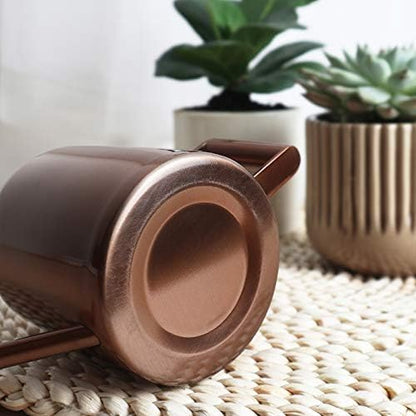 Mini Watering Can, 10oz/300ml Stainless Steel Long Spout Small Watering Can for Indoor Plants Succulents, Herbs (Bronze)