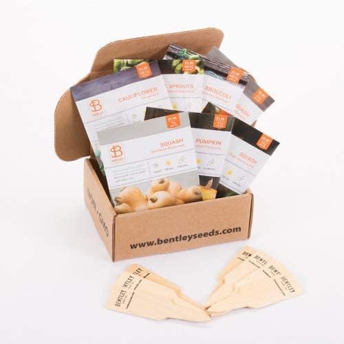 Seed Starter Kit – Harvest Garden | Non-GMO | Heirloom Seed Packets | Natural Wood Row Markers | Sustainable Healthy Living | Thanksgiving Garden | Fall Harvest
