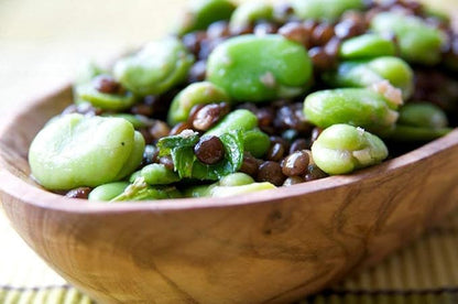 Windsor Broad Bean Seeds (a.k.a Fava Bean Seeds) Non-GMO, Approx. 75 Seeds per Package, Large Meaty Bean That's Great for soups and stews.